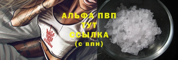 ПСИЛОЦИБИНОВЫЕ ГРИБЫ Аркадак