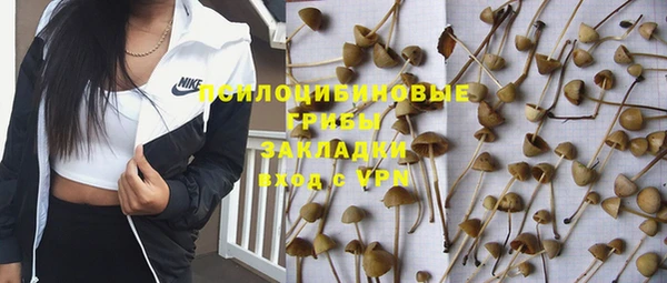 mdpv Армянск