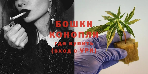 ПСИЛОЦИБИНОВЫЕ ГРИБЫ Аркадак