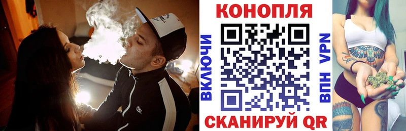 Бошки Шишки индика Сычёвка